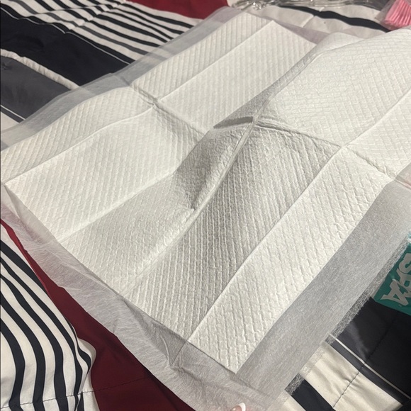 Training Pads - Picture 4 of 5